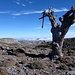 Schoene, einsame Landschaft auf 1700m Hoehe in der Sierra de las Nieves.