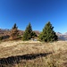 unterwegs auf dem Panoramaweg
