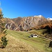 über die Wiese hinauf zum Waldrand