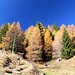 farbenfroher Herbst