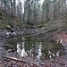 in urige Landschaft eingebettet, das kleine Blindseeli ...