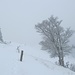 › 30 cm Schnee liegt auf dem Weg vom Althüsli zu P. 1318 ...