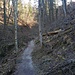 Noch ist der Weg gut, aber sowohl Steig als auch Gelände werden wilder