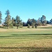 Am Golfplatz