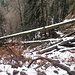 ... an viel Fallholz vorbei ...