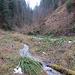 ... ins kleine Tälchen zwischen "Paradies" und Nussboumschattsite