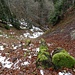 in der steilen Ostflanke (zum Fischgrabe) des Biseggchnubels ...