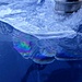 ... des Rätsels Lösung. Die Sprengwirkung der Eischraube zaubert [https://de.wikipedia.org/wiki/Irisieren irisierende Muster] ins Eis. Oder handelt es sich beim Phänomen um [https://de.wikipedia.org/wiki/Newtonsche_Ringe Newtonsche Ringe]?