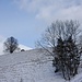 Hochblick zum bekannten [http://www.hikr.org/gallery/photo1962622.html?post_id=103406#1 Fass-Hüttchen] auf dem Napfgratweg