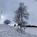 ... auf dem Weg nach Hinterkammen