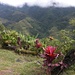 Hiker's Paradise im Tal oberhalb von Banaue