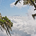 Kilimanscharo über den Wolken...vom Meru aus gesehen