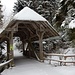 die kleine, hübsche, [http://www.swiss-timber-bridges.ch/detail/699 Schwandbachbrügg] über den Churzeneibach