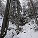 Winterimpressionen im Abstieg nach St. Fridli.