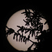 Übrigens: das ist nicht der Mond, sondern die Sonne hinter einer Fichte! / Questo non è la luna, ma il sole dietro un abete rosso!