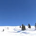 oberhalb der Alm freies Gelände