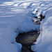 Winterlandschaft