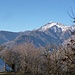 Ausblick von Alp Motta zum Gaggio auf der andern Seite der Riviera