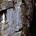 Eindrückliche Weisse Madonna im Schutze einer Felsnische