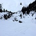 Der unterste Teil der Abfahrt - Tannen und Stein Slalom im gefrorenen Nassschnee - bevor es auf der sulzigen Talstrasse wieder zurück zur Talstation ging.