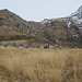 Alpe Bardughè