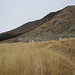 Alpe Bardughè