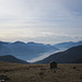 Lago Maggiore