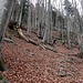 Sono quasi 500mt in 1km, molto-molto ripido