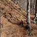 Bivio Val d'Aian sopra i Monti di Lanes