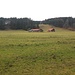 Nette, völlig unspektakuläre Landschaft