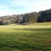 Zwischen Epfach und Mundraching II