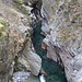 Dal ponte