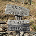 Cartelli di Velina Baserga