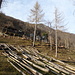 Alpe Merina