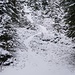 Sehr wenig Schnee bei der ersten Forststraßenabkürzung