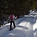 Zwei gut gespurte Schneeschuhautobahnen.