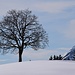 Winteridylle mit Speerspitze, im wahrsten Sinne des Wortes.
Zur gleichen Zeit weilt dort auf dem Gipfel die eifrige Hikrin [u Flylu], siehe auch [http://www.hikr.org/gallery/photo1982944.html?post_id=104546#1 hier].