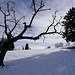 Petit rappel qu'on est supposés être en hiver...