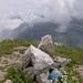 Gipfel Rossalpelispitz. Blick Richtung Rautispitz
