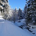 Winterzauber 2 am Beerenbach