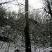 Mystisch und frisch verschneit ragen die düsteren Klippen auf der NW-Seite der Barenburg bis zu 20m hoch auf, plus steilem, blockigem Hang darunter. (Name Barenburg : eine uralte Fluchtburg - Wälle auf dem Gipfelplateau noch gut sichtbar) 
