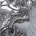 Winter-Baum Kunst
