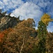 Abstieg nach Pürzelbach durch herbstlichen Wald