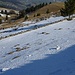 Schöne Trockenmauer im Schnee