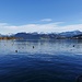 Le lac des Quatre Cantons à Lucerne