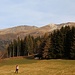 über eine schöne Wiese, oben die markante <a href="http://www.hikr.org/tour/post89176.html">Weißspitze</a>