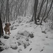 Il sentiero è coperto dalla neve ma si cammina su una comoda cresta rocciosa.