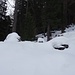 der Wald spuckt uns wieder aus