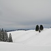 Blick nach Norden
