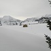Blick auf die Alp Ober Scherlet die wir ausliessen
